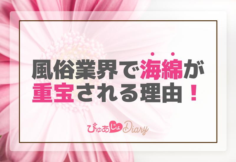 風俗業界で海綿が重宝される理由【紹介】