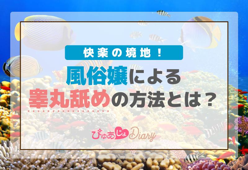 快楽の境地！風俗嬢による睾丸舐めの方法とは？