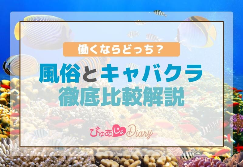 働くならどっち？風俗とキャバクラ徹底比較解説