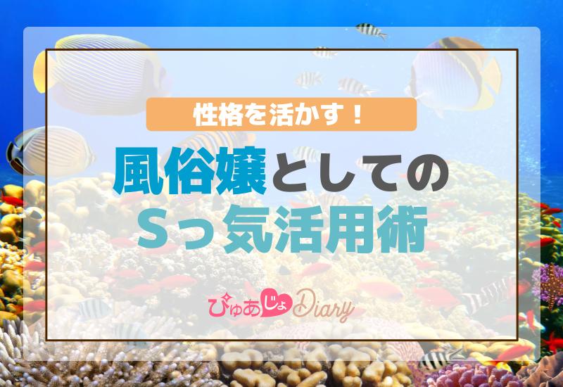 性格を活かす！風俗嬢としてのSっ気活用術