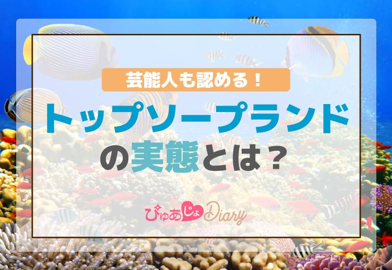 芸能人も認める！トップソープランドの実態【とは？】