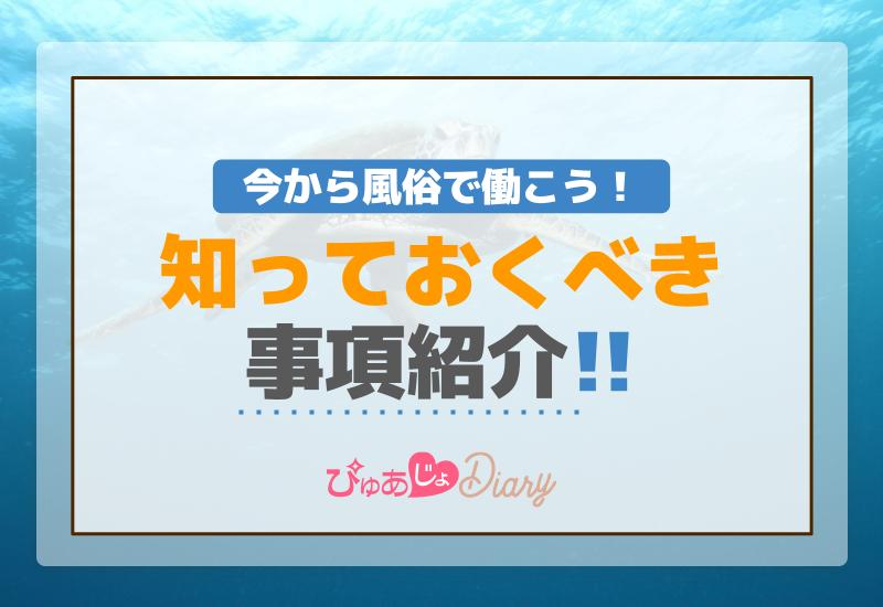 今から風俗で働こう！知っておくべき事項紹介