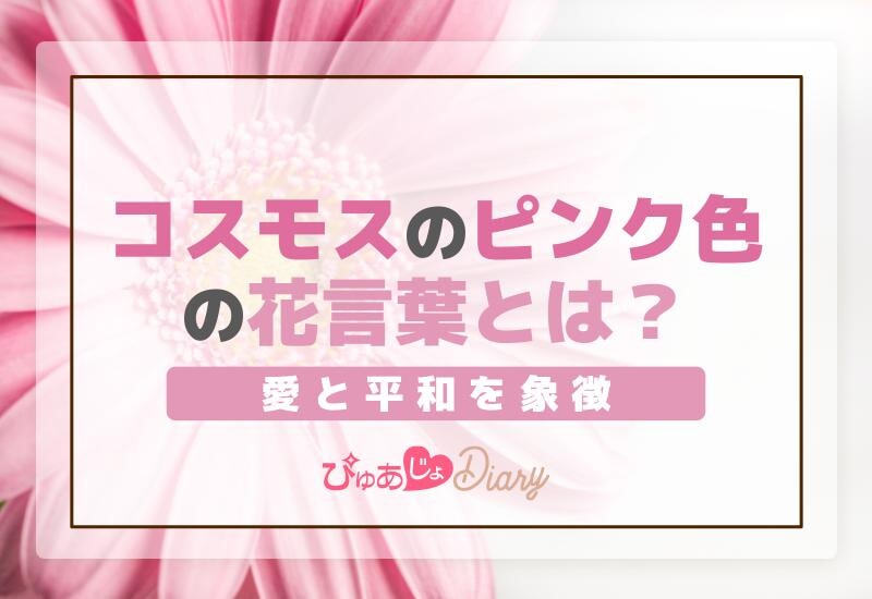 コスモスのピンク色の花言葉とは？愛と平和を象徴！