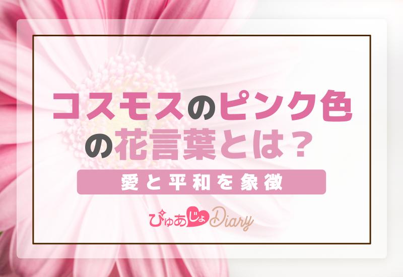 コスモスのピンク色の花言葉とは？愛と平和を象徴！